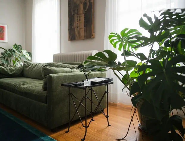 Canandaigua Guesthouse hotel detail image 2