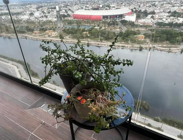 Mar Laguna Hotel hotel detail image 4