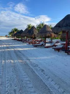 Depa en Playa Resort Baja Densidad solo Rentas Largo Plazo 90d o más hotel detail image 3