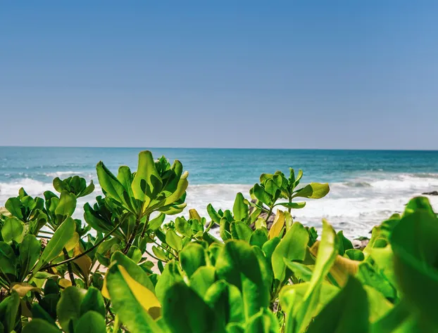 Haramara Retreat hotel detail image 3