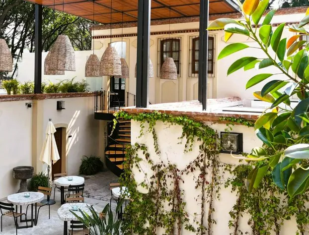 Orchid House Coyoacán hotel detail image 1