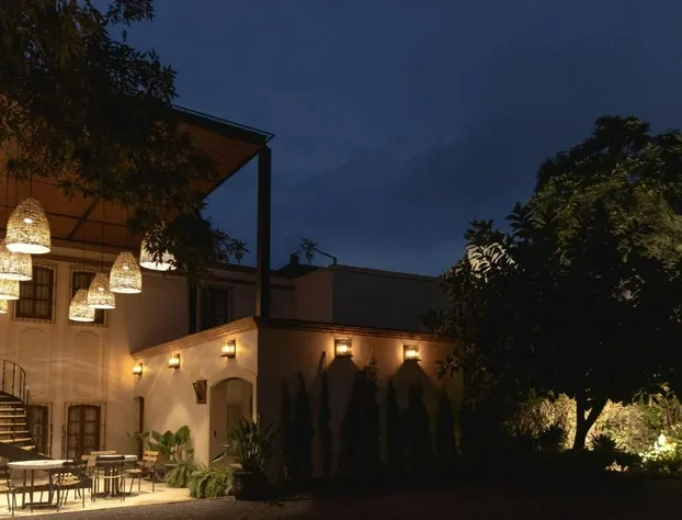 Orchid House Coyoacán hotel detail image 2