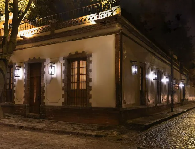 Orchid House Coyoacán hotel detail image 3