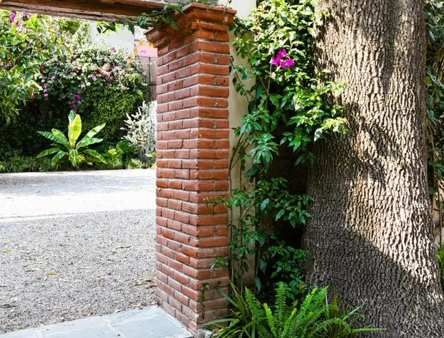 Orchid House Coyoacán hotel detail image 4