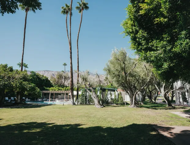 Casa Palma Hotel & Bungalows hotel detail image 4