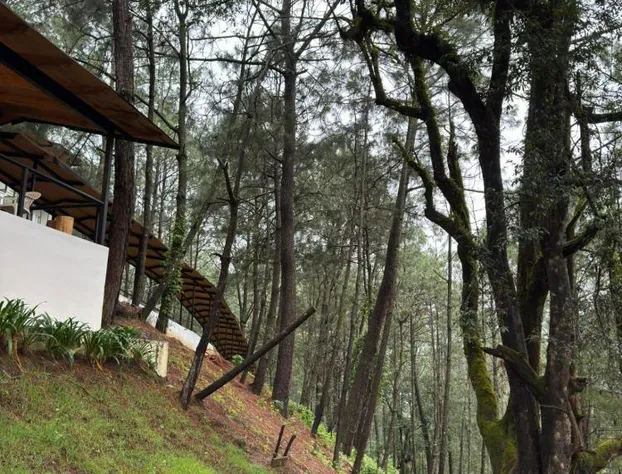 Grand Mazamitla Hotel hotel detail image 2