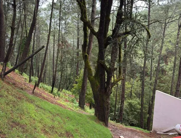 Grand Mazamitla Hotel hotel detail image 3