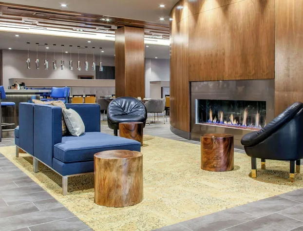 Hilton Garden Inn North Phoenix Scottsdale hotel detail image 4