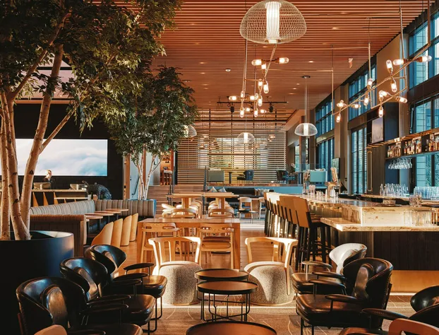 Limelight Boulder hotel detail image 2