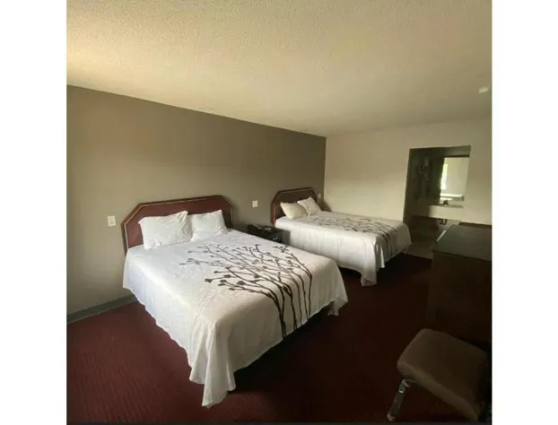 Deluxe Inn hotel detail image 4