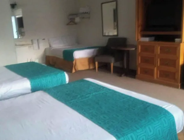 The Way Inn by OYO Spencer hotel detail image 4