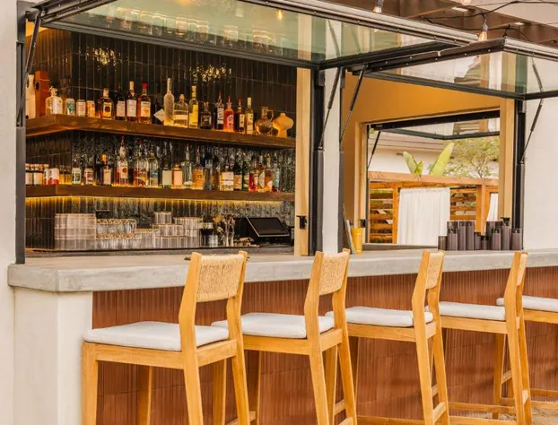 Terra Palm Springs hotel detail image 1