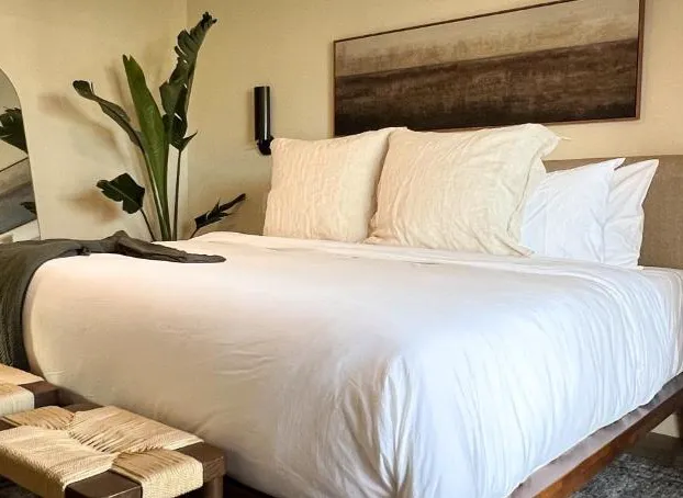 Terra Palm Springs hotel detail image 4