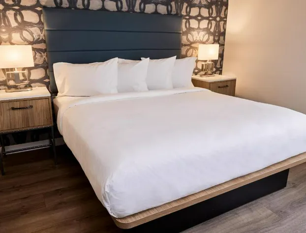 Hive House hotel detail image 4