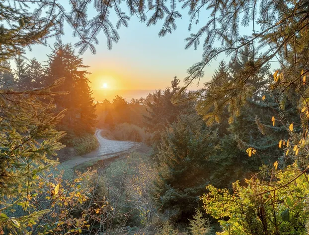 Two Capes Lookout hotel detail image 4