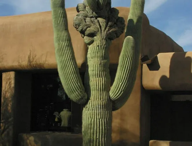 Bposhtels Scottsdale hotel detail image 3