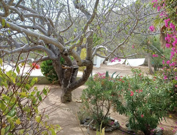 Casa Pajaros hotel detail image 1