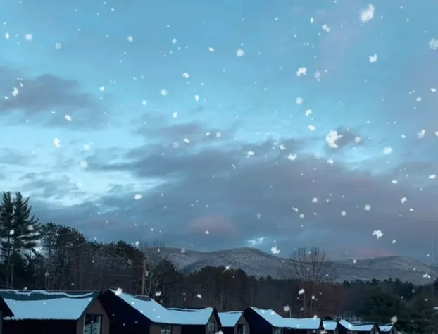 Emrose Luxury Cabins hotel detail image 4