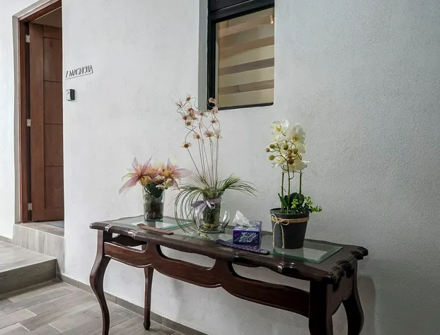 Hotel Bugambilias hotel detail image 1