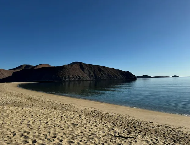 Alfonsina's Eco Hotel Boutique hotel detail image 2