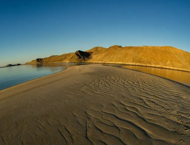 Alfonsina's Eco Hotel Boutique hotel detail image 3