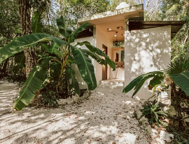 Casa Arkaana Eco Retreat hotel detail image 3