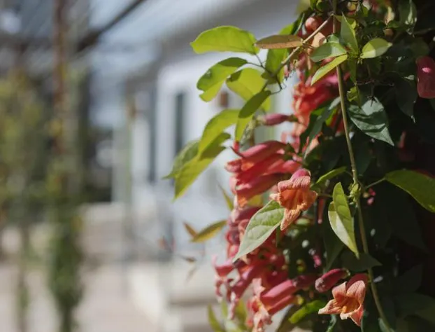 Talbot Commons Hotel hotel detail image 1