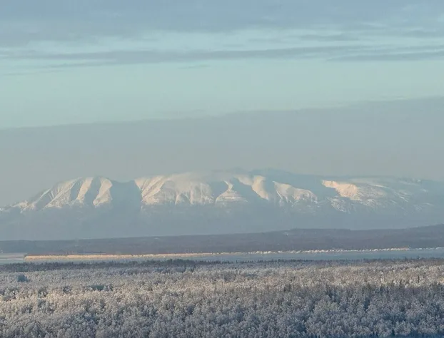 Whimsy Station hotel detail image 4
