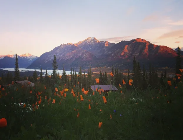 Alpenglow Luxury Camping hotel detail image 2
