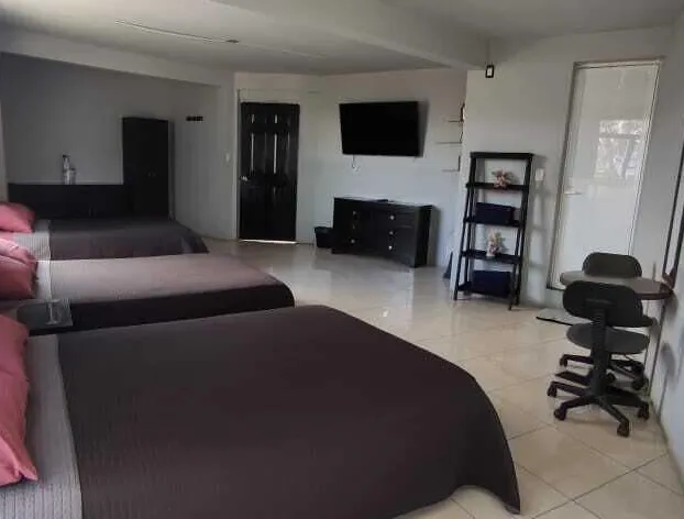 La Patrona Hostal hotel detail image 3