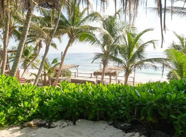 Art Village Tulum hotel detail image 4