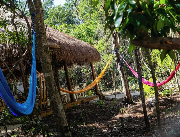 La Ballena Nómada hotel detail image 1