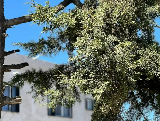 Hotel Caminos hotel detail image 2