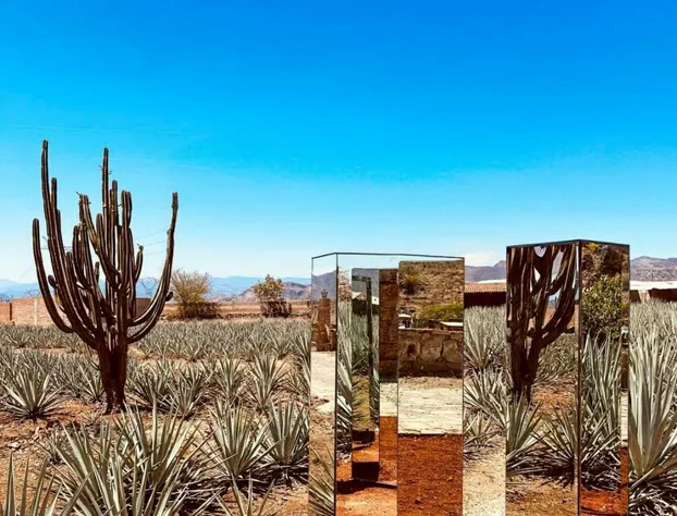 Hotel Monte Agave hotel detail image 2