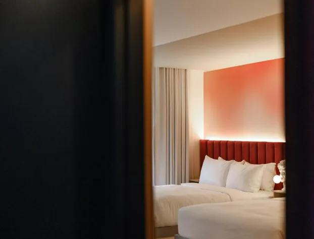 Rose Hôtel Invisible hotel detail image 3