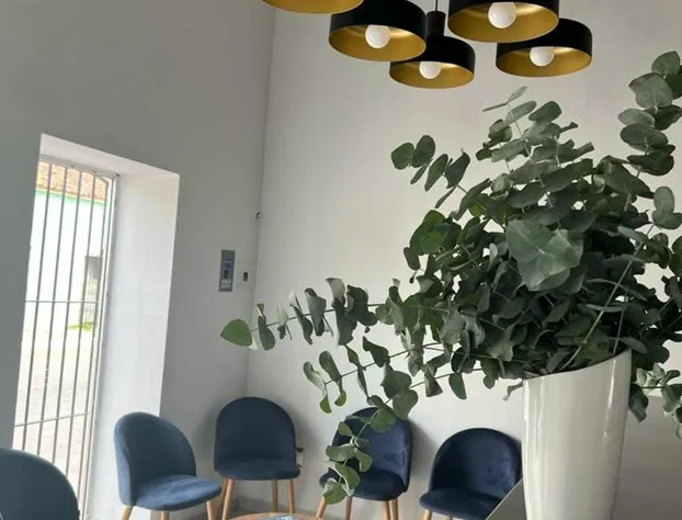 Kasa Morelos Hotel Boutique hotel detail image 2