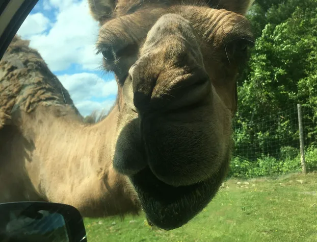 Los bambinos Hollywood hotel detail image 1