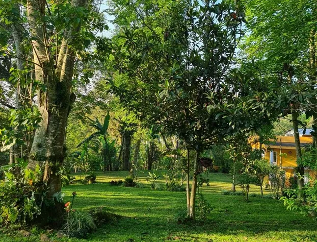 Jardin de los Anturios, Xico hotel detail image 2