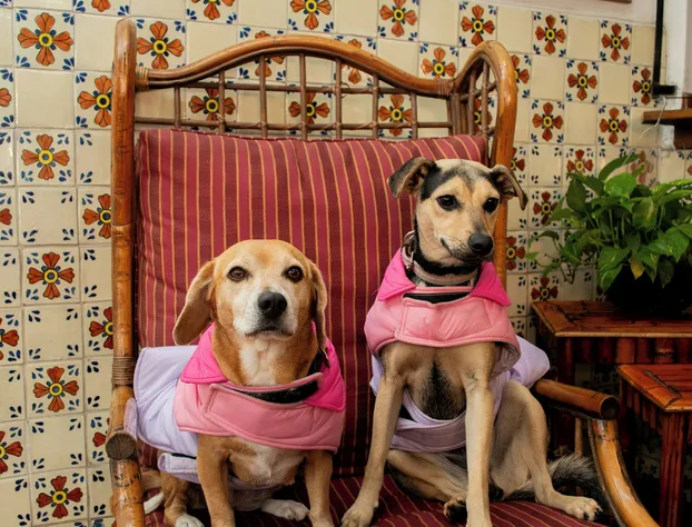 Hotel Colonial Tijuana hotel detail image 3