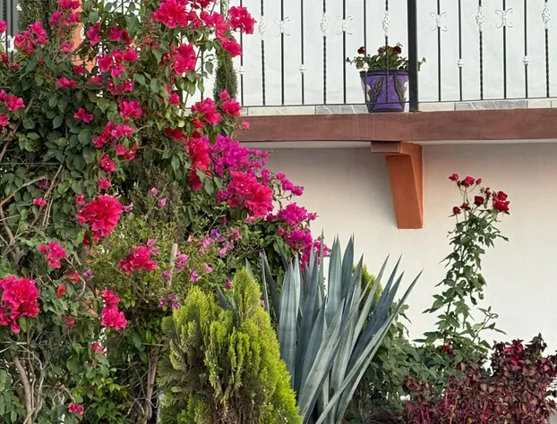 Hotel la Concha hotel detail image 4