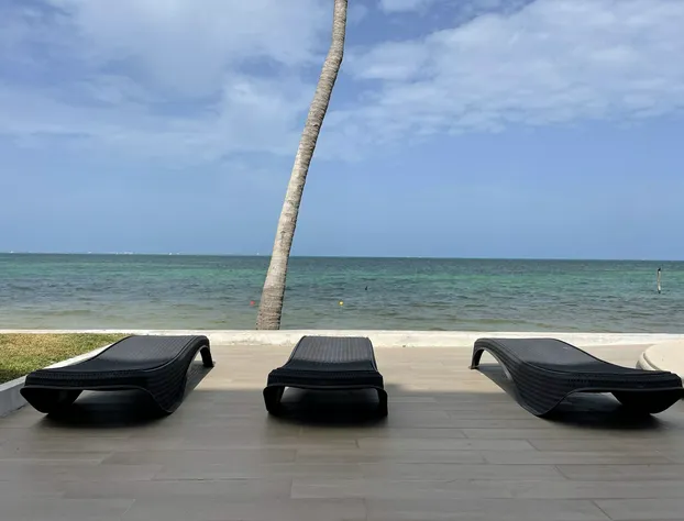 Flamingo Plus by Andiani Travel hotel detail image 1