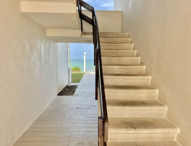 Flamingo Plus by Andiani Travel hotel detail image 2