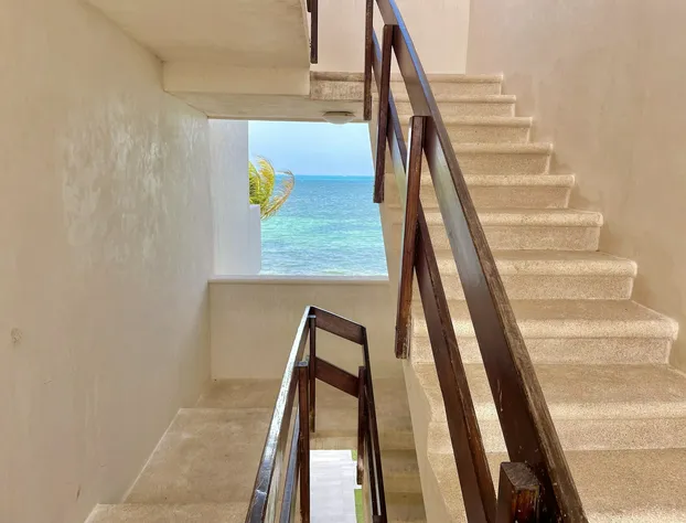 Flamingo Plus by Andiani Travel hotel detail image 3