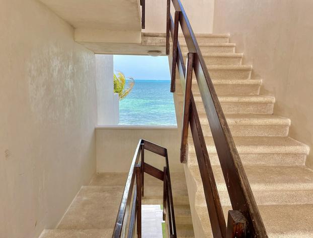 Flamingo Plus by Andiani Travel hotel detail image 3