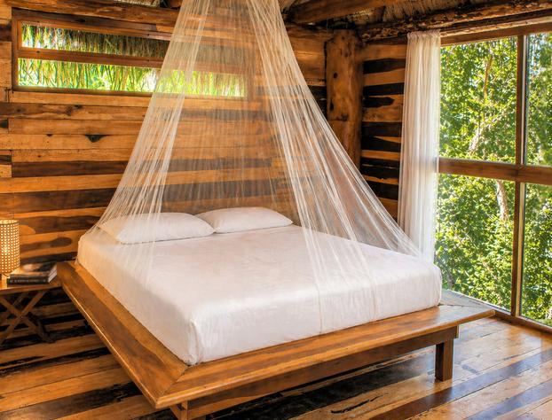 Treehouse Tulum H2Ojos hotel detail image 1