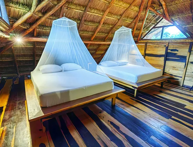 Treehouse Tulum H2Ojos hotel detail image 4