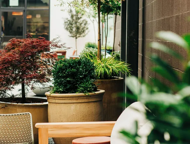 The Myriad Hotel Louisville, Tapestry Collection by Hilton hotel detail image 4