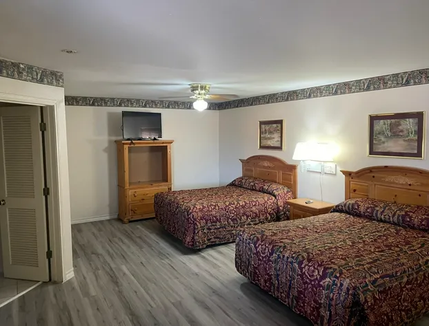 Lakeside Inn & Suites by OYO Mathis I 37 hotel detail image 3