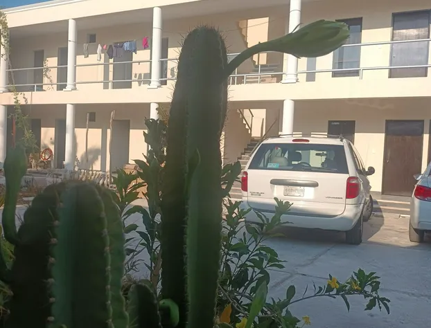 Hotel and Hostel 230 hotel detail image 2