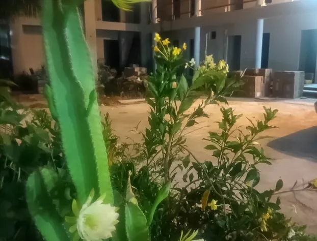 Hotel and Hostel 230 hotel detail image 4